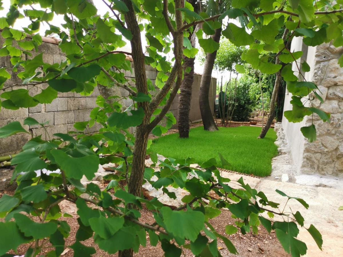 오파티아 Ginko House 아파트 외부 사진